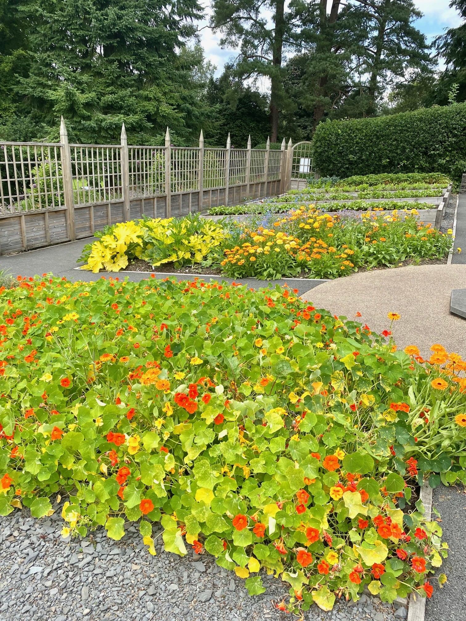 Gardens with orange, yellow and red flowers