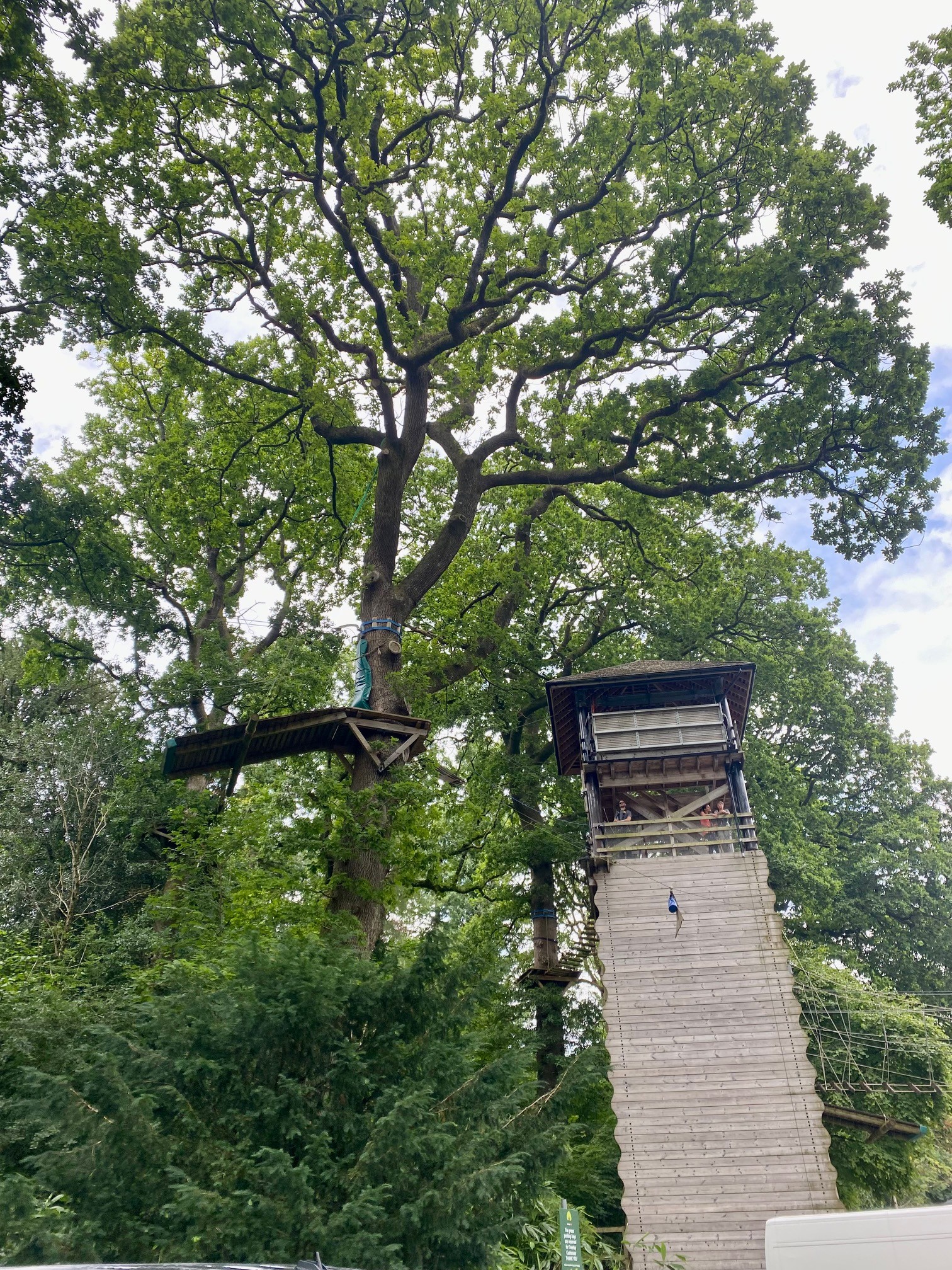 A treetop trek activity at Brockhole on Windermere