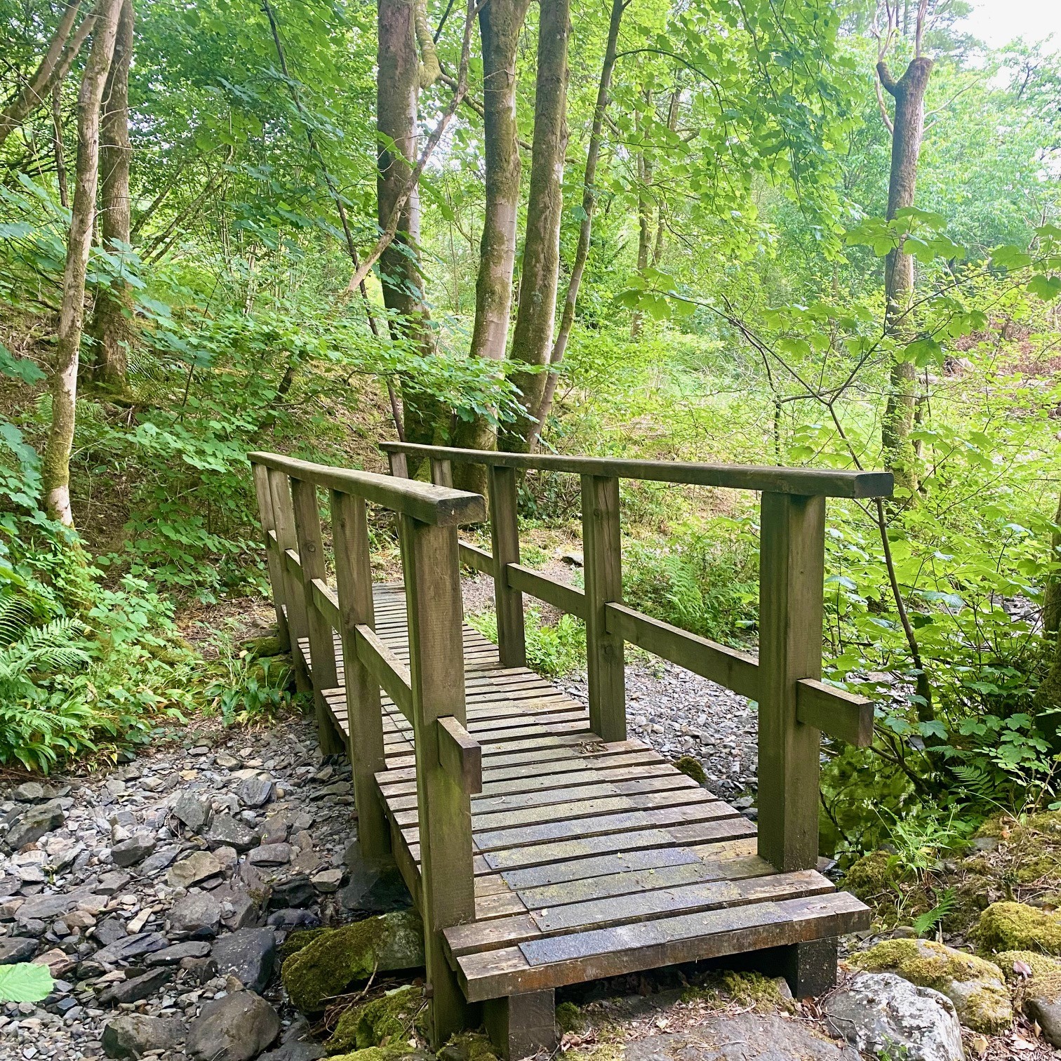 A wooden bridge in Grizedale Forest