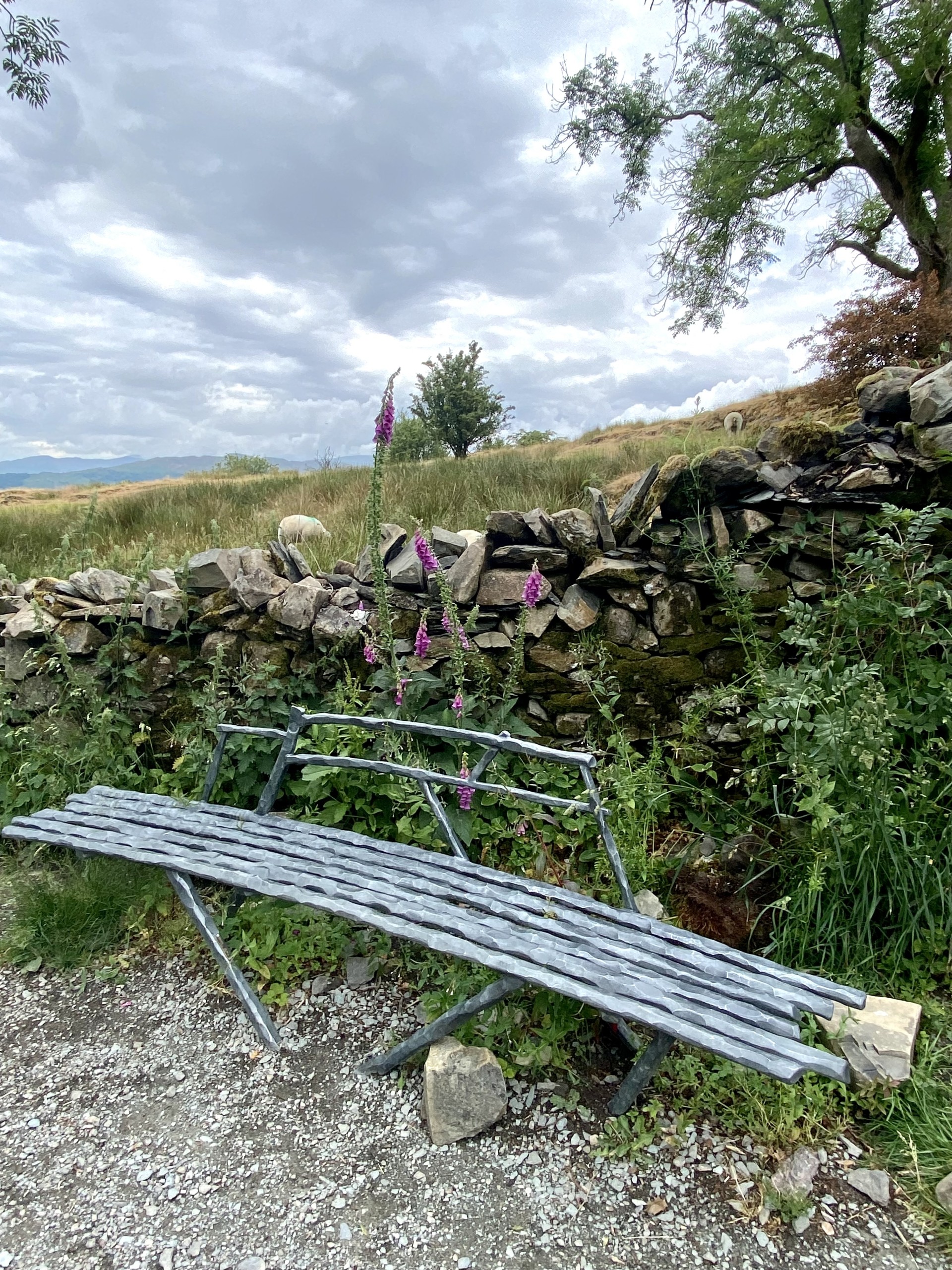 A bench on the path up to Orrest Head with foxgloves in the background
