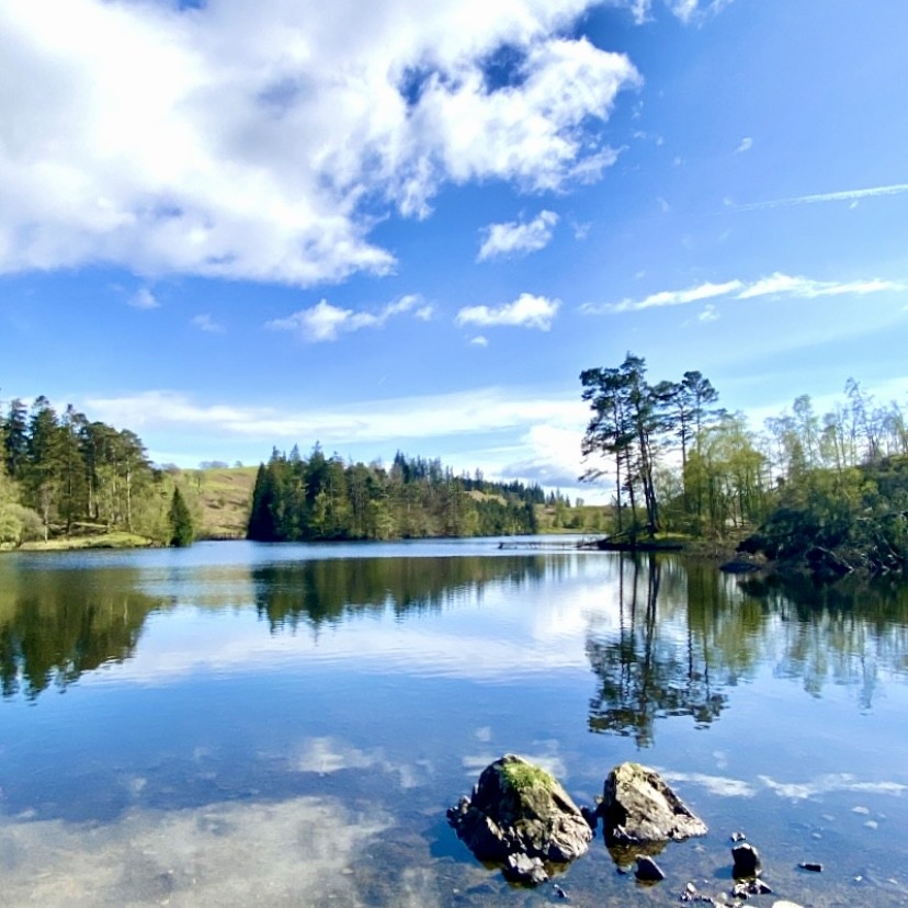 Tarn Hows with clouds reflecting in the water and pine trees in the background