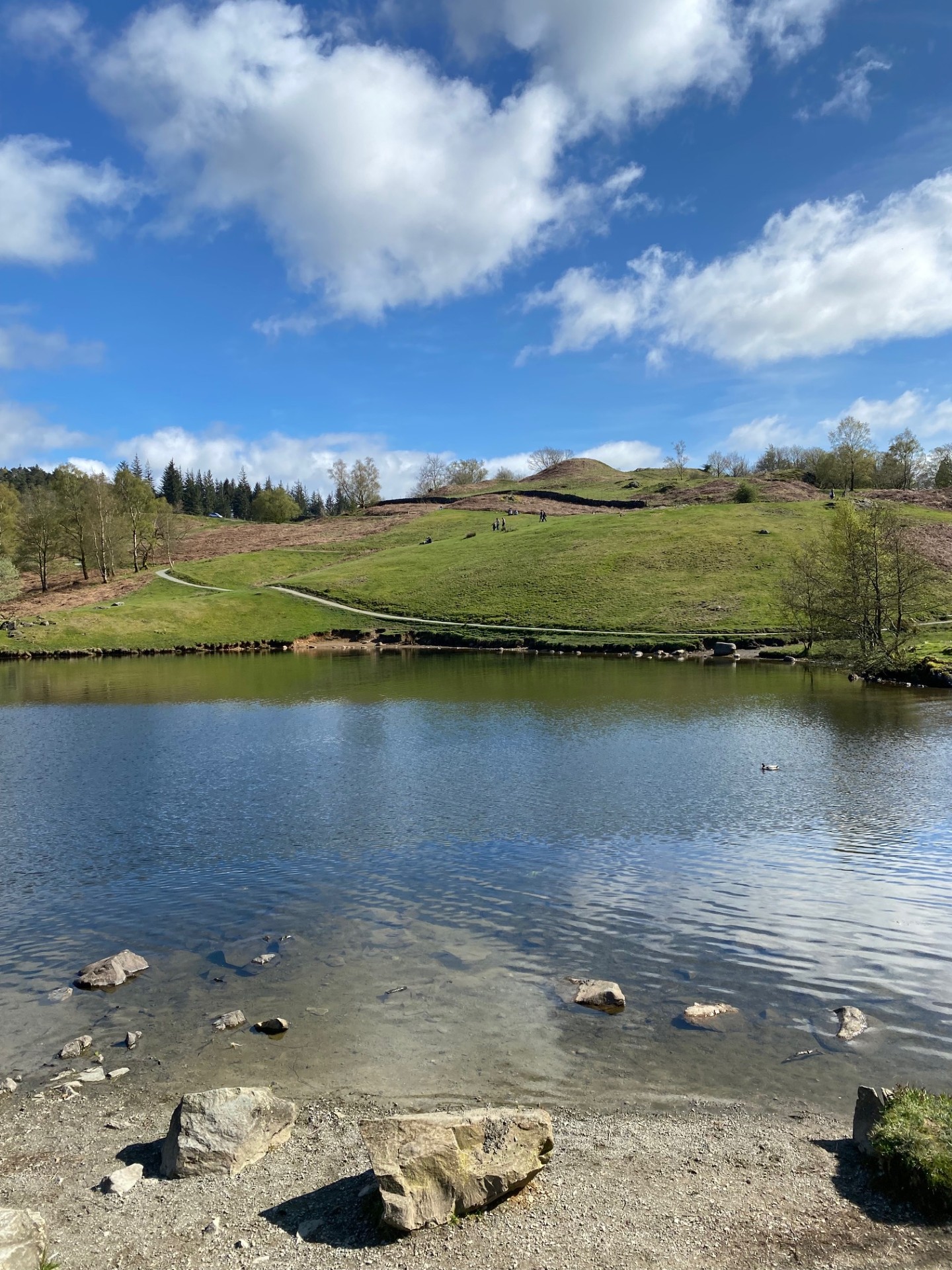 A view of Tarn Hows circular walk with green hills in the background
