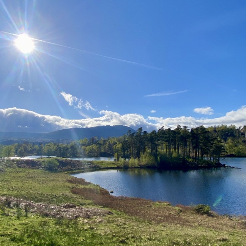A view of Tarn Hows with the sun shining on a clear day