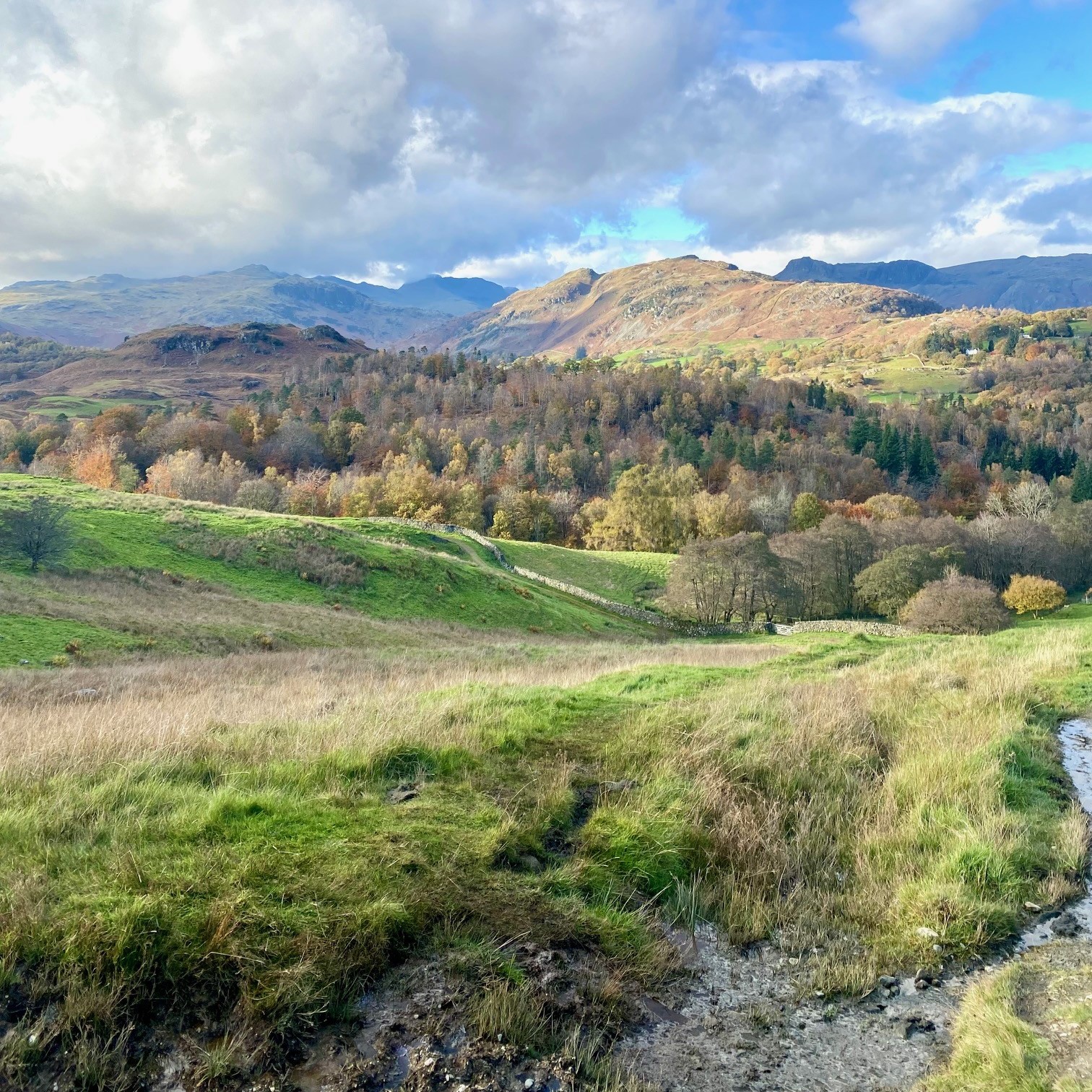 Grassy land with mountains in the background