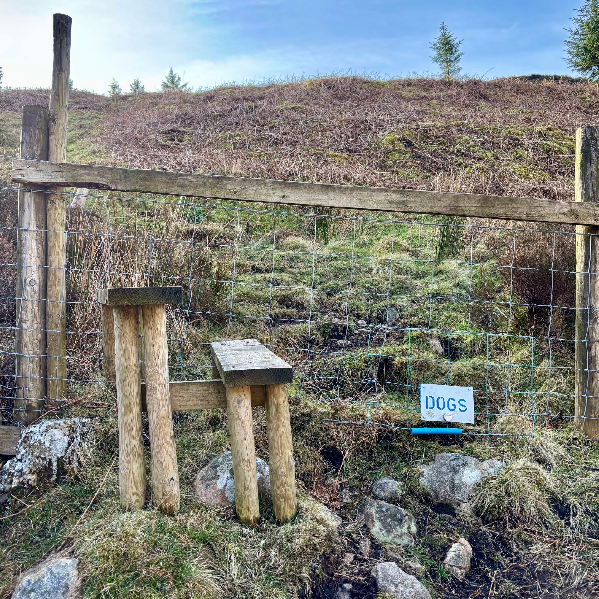 A stile with a door in the fencing for dogs on the path up to Bowness Knott.
