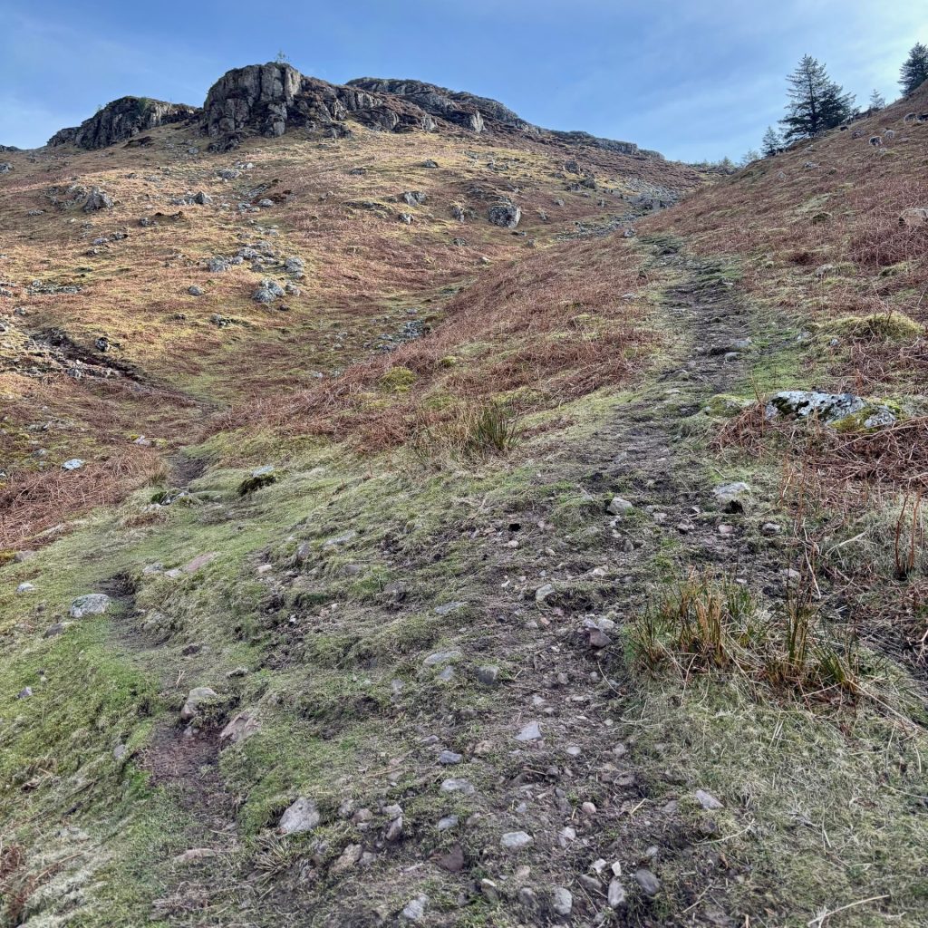 A steep, rocky path ascending up the fell side of Bowness Knott, with grass and large boulder rocks in the distance.
