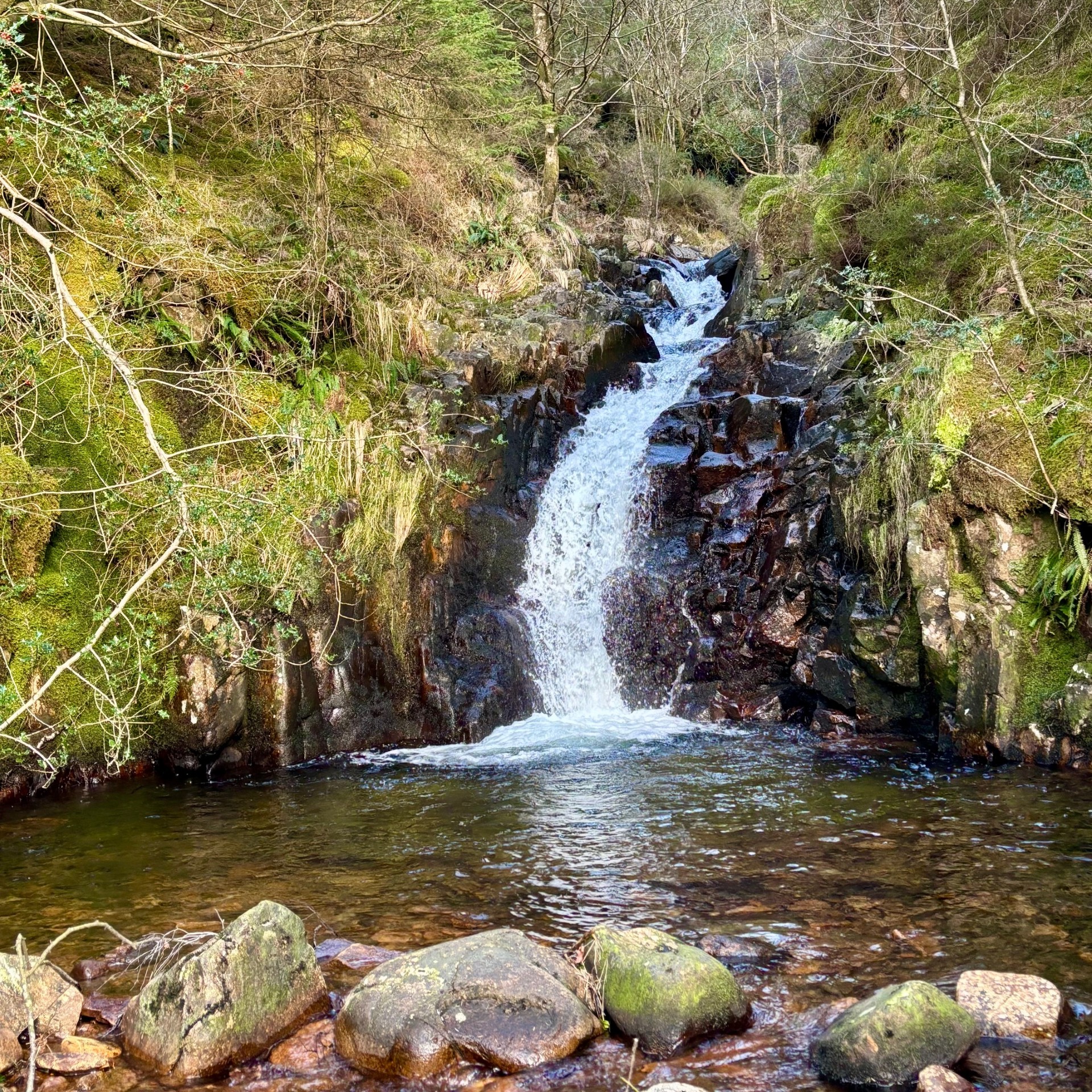 A beautiful flowing waterfall on the Smithey Beck Trail.