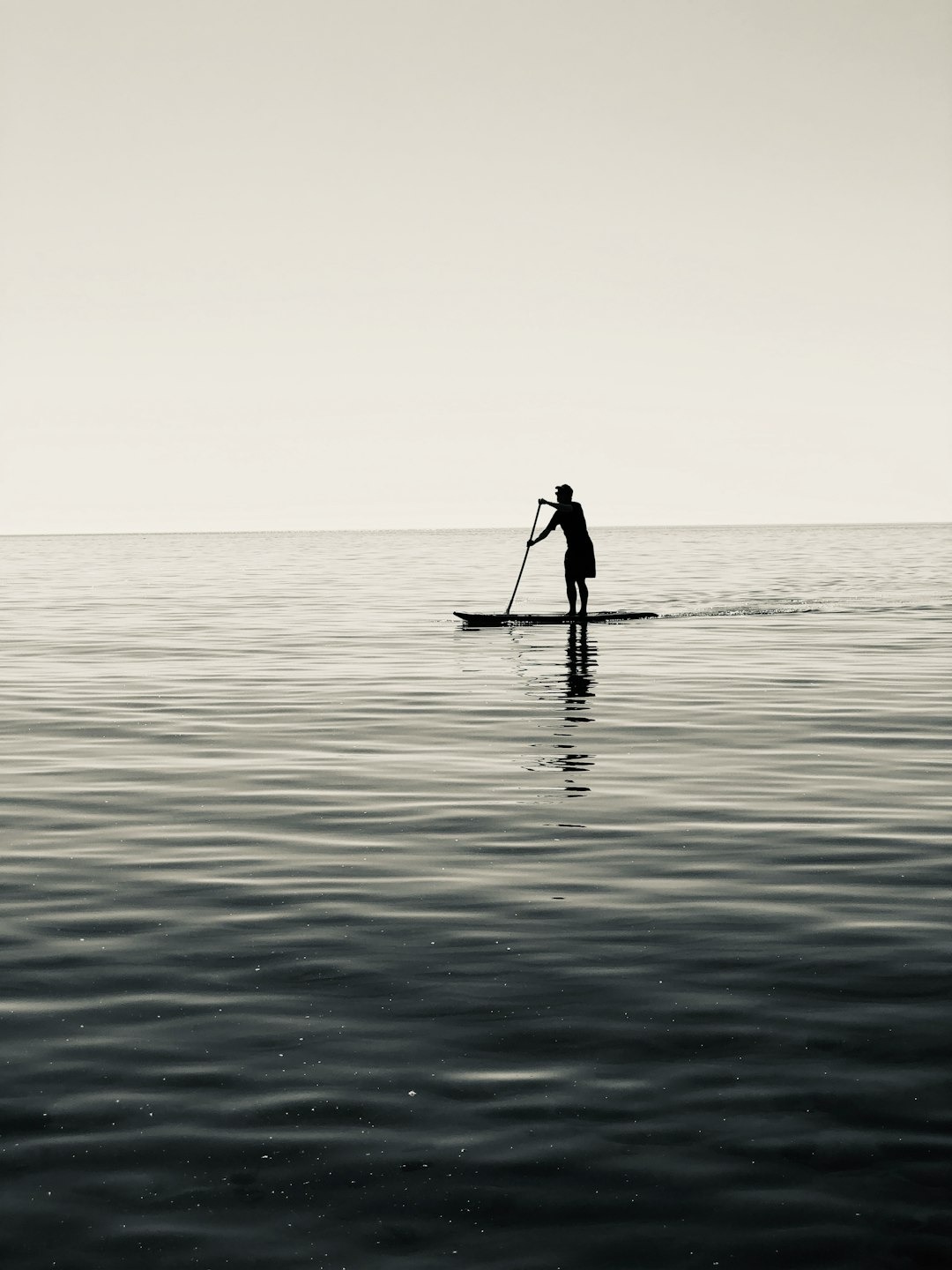 A silhouette of someone stand up paddle boarding on water.