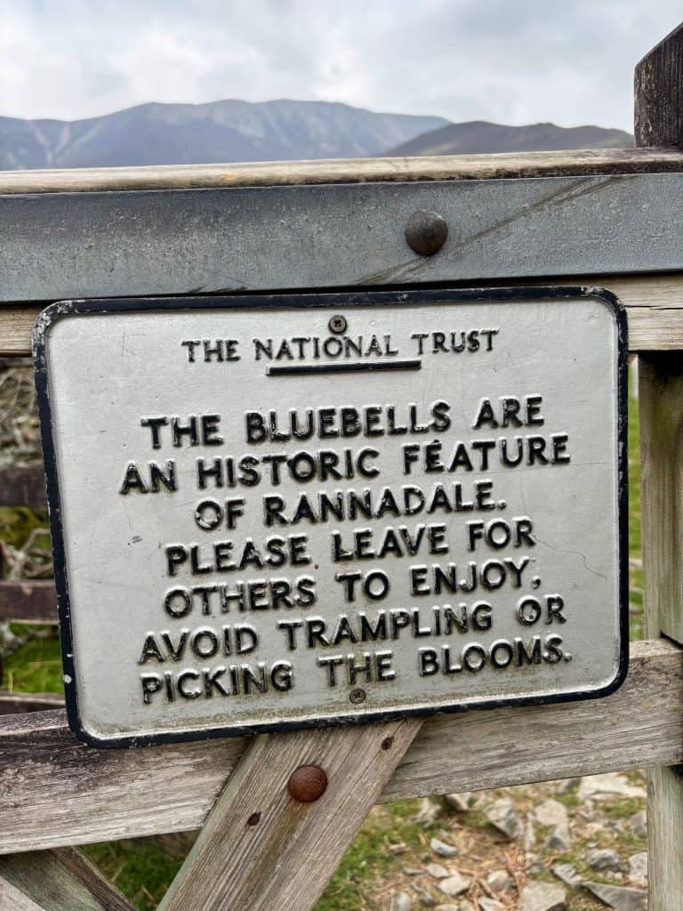 Rannerdale bluebells National Trust sign