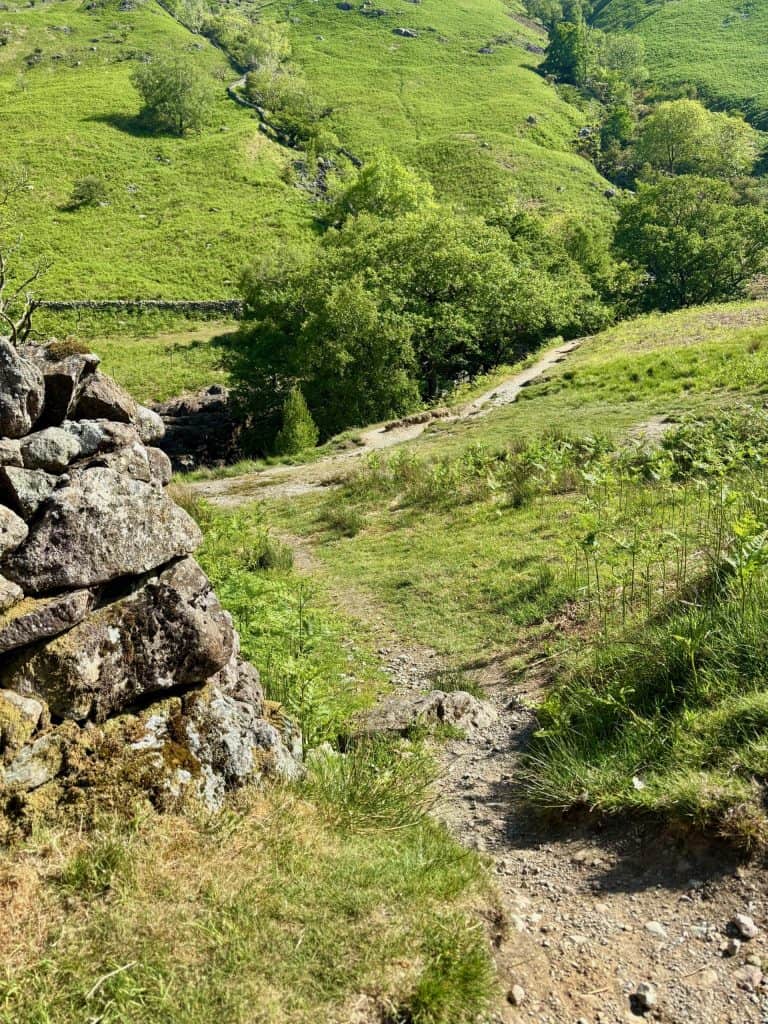 A path descending through a field down to a river lined with Oak trees