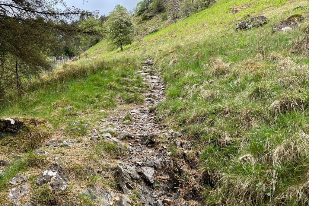 The path from Thirlmere up to High Tove