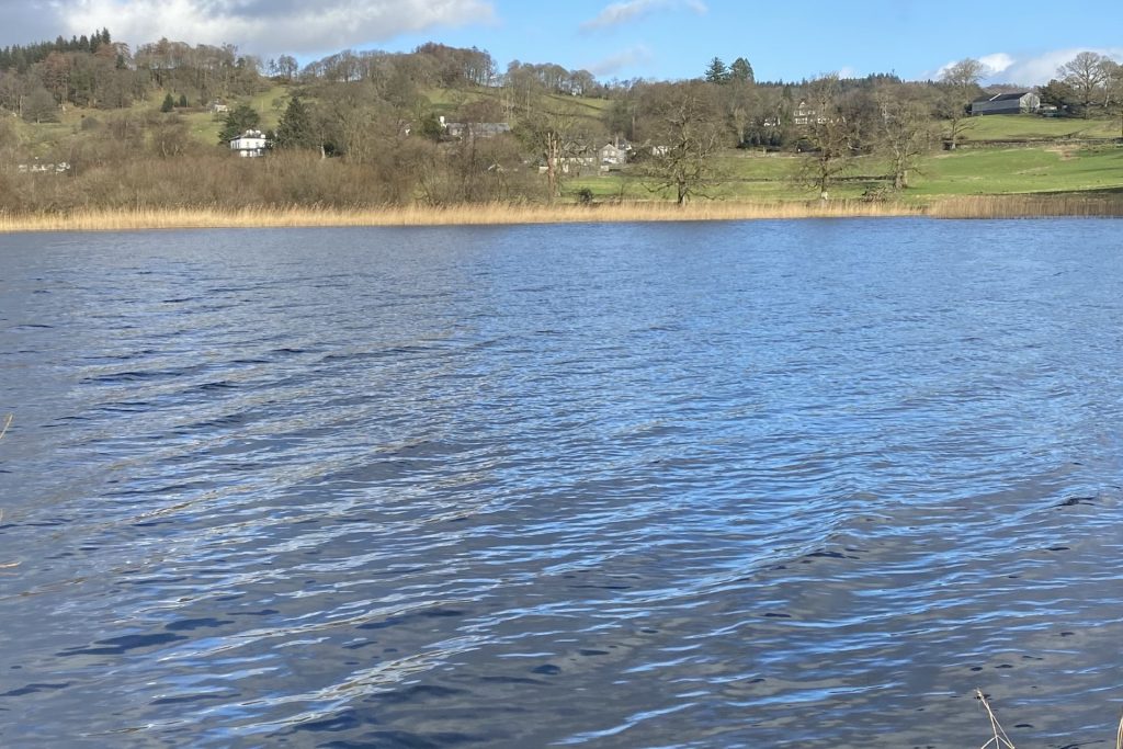 Esthwaite Lake near Hawkshead, in the Lake District